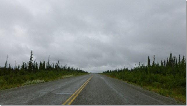 Alaska July 29 11 Tok to Haines Junction (39)
