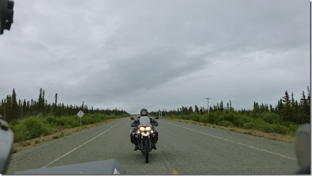 Alaska July 29 11 Tok to Haines Junction (43)