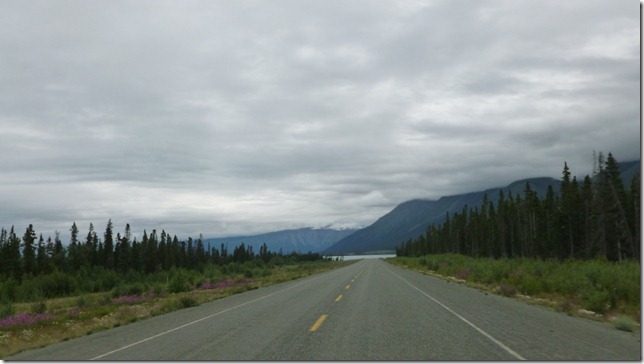 Alaska July 29 11 Tok to Haines Junction (50)