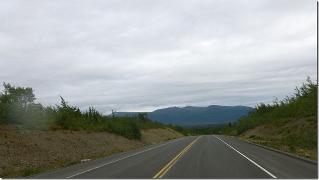 Alaska July 29 11 Tok to Haines Junction (62)