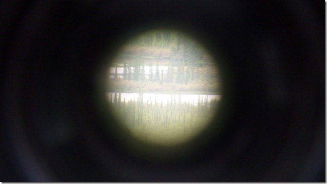 Alaska July 29 11 Tok to Haines Junction (6)