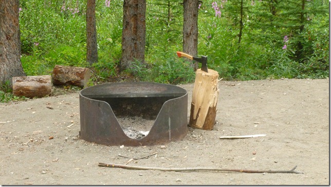 Alaska July 29 11 Tok to Haines Junction (70)