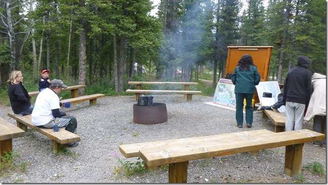 Alaska July 29 11 Tok to Haines Junction (75)