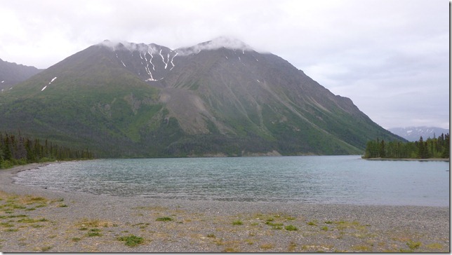 Alaska July 29 11 Tok to Haines Junction (76)