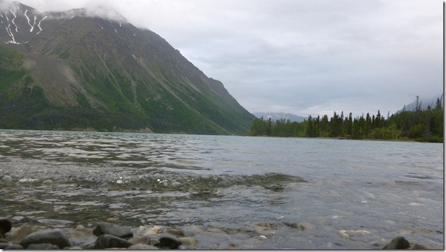 Alaska July 29 11 Tok to Haines Junction (77)