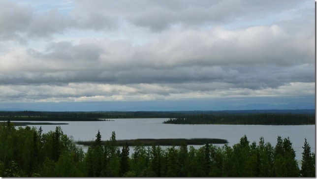 Alaska July 29 11 Tok to Haines Junction (79)