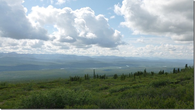 Alaska July 8 11 Dempster Hwy (21)