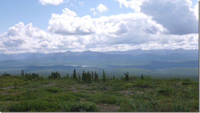 Alaska July 8 11 Dempster Hwy (23)