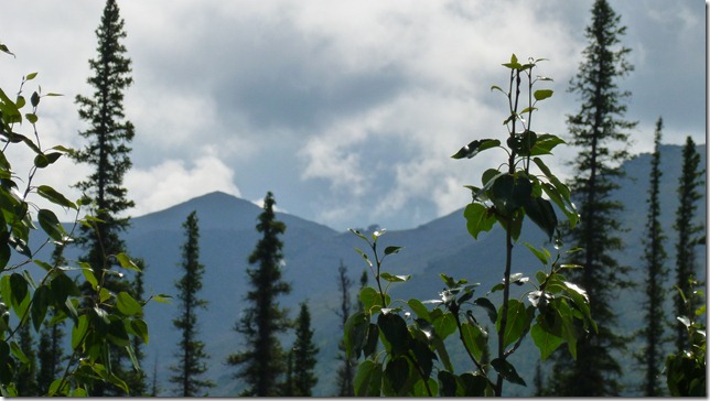 Alaska July 8 11 Dempster Hwy (29)