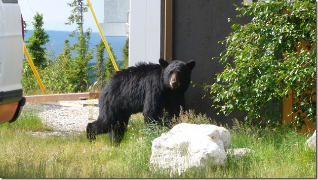 Alaska July 8 11 Dempster Hwy (2)