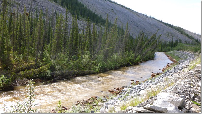 Alaska July 8 11 Dempster Hwy (35)