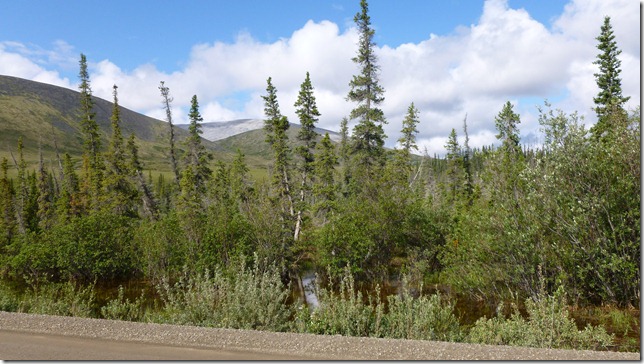 Alaska July 8 11 Dempster Hwy (39)