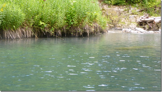 Alaska Toad River to Watson Lake July 4 11 (19)