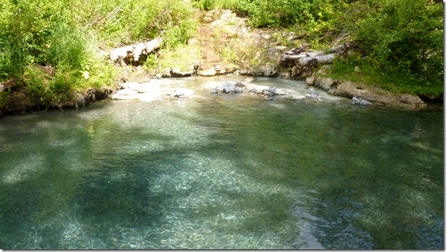 Alaska Toad River to Watson Lake July 4 11 (21)
