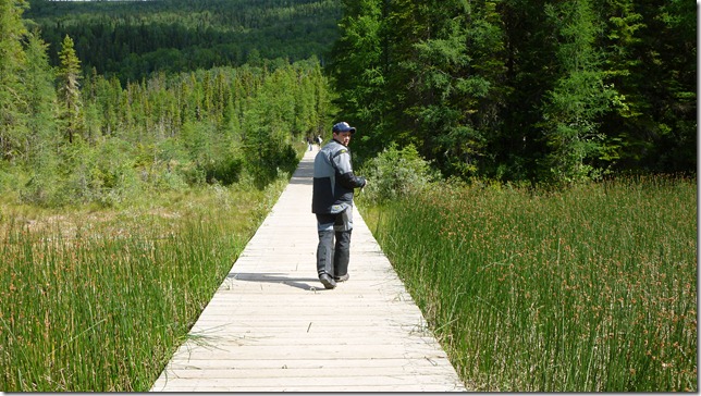 Alaska Toad River to Watson Lake July 4 11 (26)