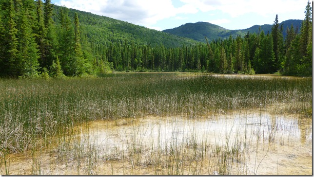 Alaska Toad River to Watson Lake July 4 11 (27)