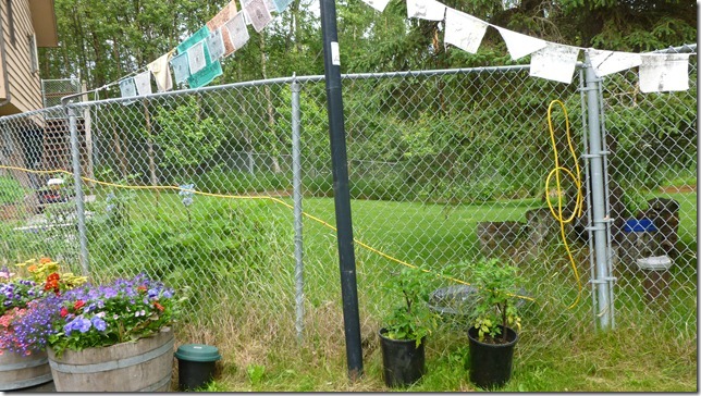 Anchorage July 21 11 (16)