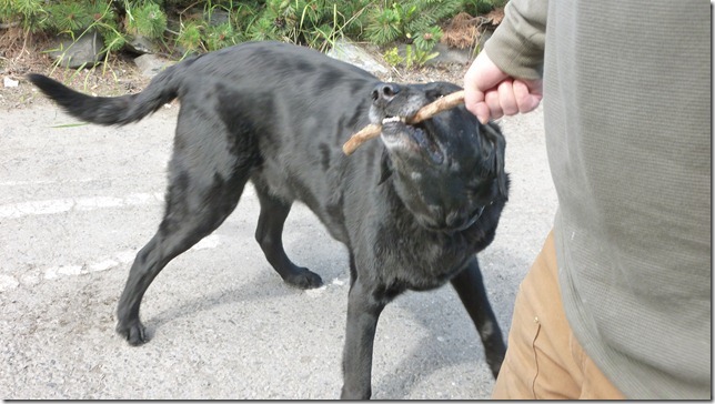 Anchorage July 21 11 (2)