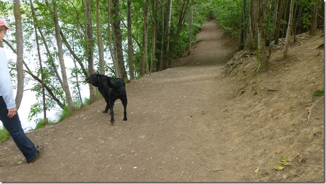 Anchorage July 21 11 (7)