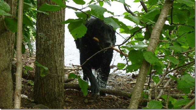 Anchorage July 21 11 (8)