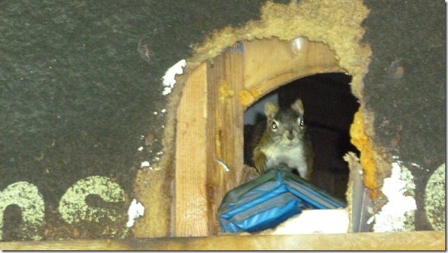 Anchorage July 22 11 (15)