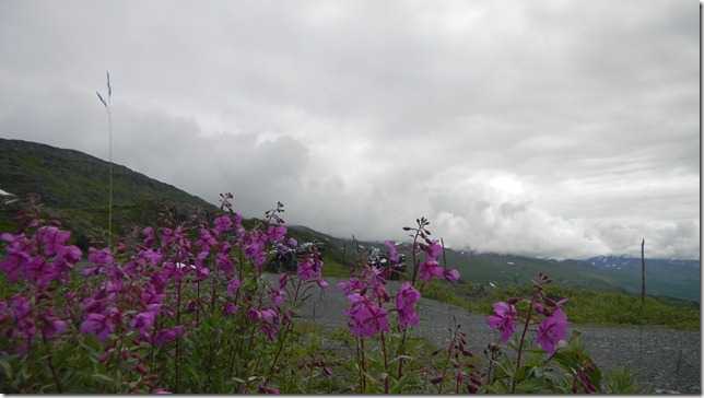 Cheryl July 27 11 (2)