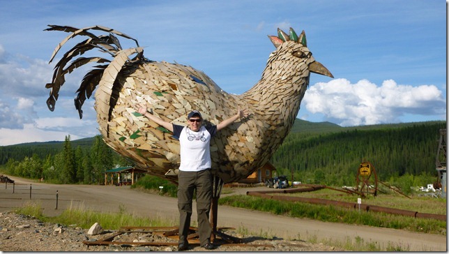 Chicken July 10 11 (12)