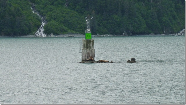 Final pics July 26 11 (2)