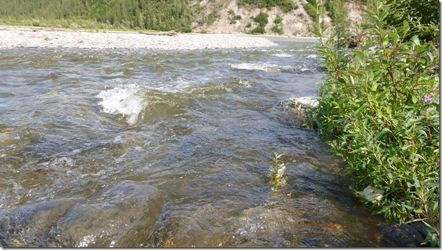 July 14 11 Dalton to Wiseman (29)