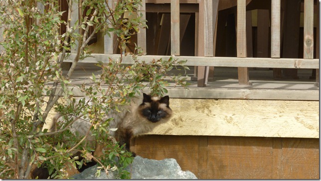 July 14 11 Dalton to Wiseman (2)