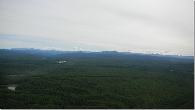 July 20 11 Cheryl (11)