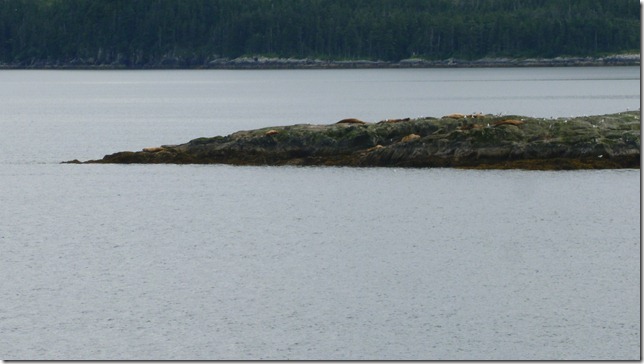 July 26 11 Ferry (5)