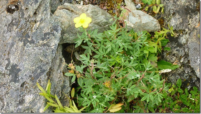 July 27 11 Valdez to Chitina (37)