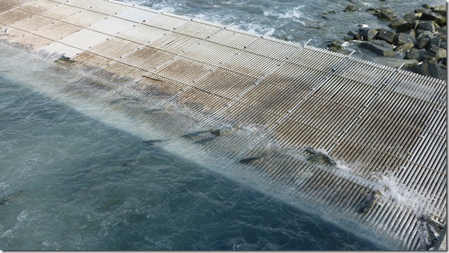 July 27 11 Valdez to Chitina (6)