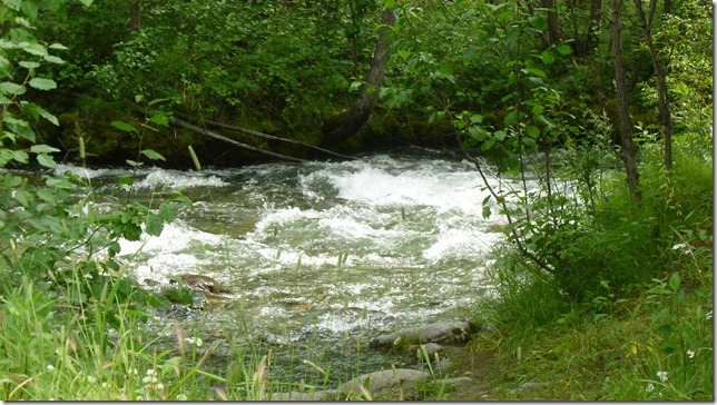 July 27 11 Valdez to Chitina (81)