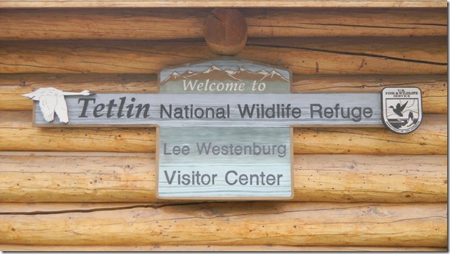 July 29 11 Cheryl (30)