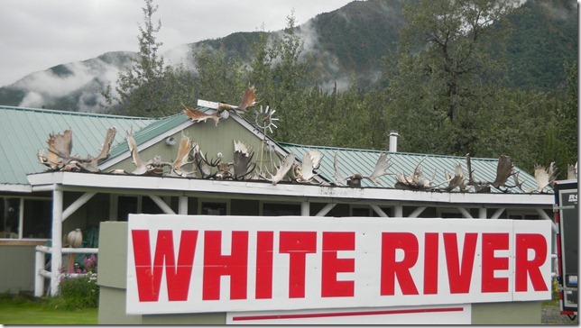 July 29 11 Cheryl (7)