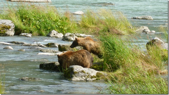 July 29 11 Tok to Haines Junction (104)
