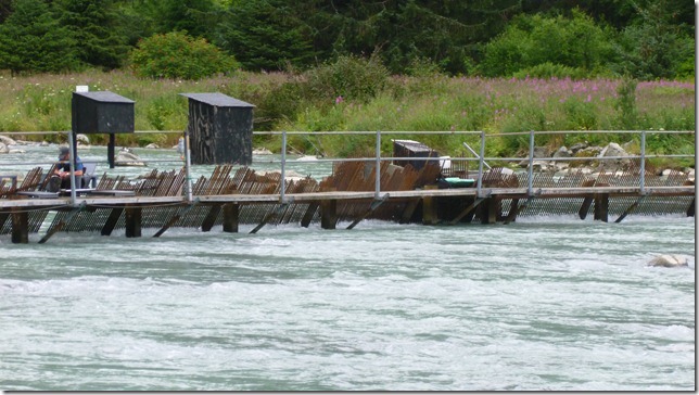 July 29 11 Tok to Haines Junction (75)