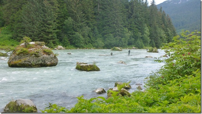 July 29 11 Tok to Haines Junction (76)