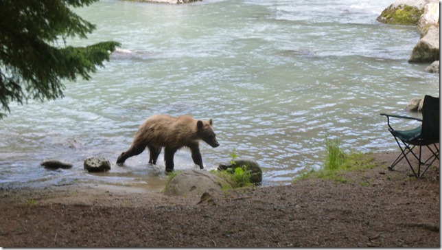 July 29 11 Tok to Haines Junction (89)