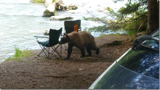 July 29 11 Tok to Haines Junction (90)