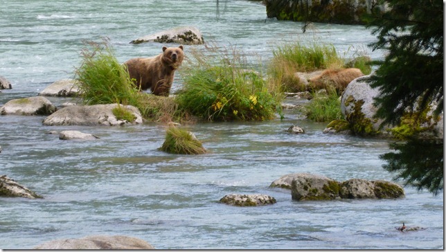 July 29 11 Tok to Haines Junction (91)