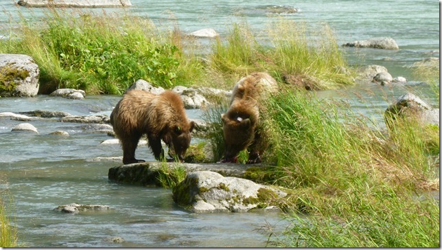 July 29 11 Tok to Haines Junction (97)