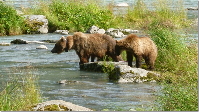 July 29 11 Tok to Haines Junction (99)