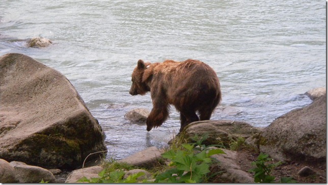 July 30 11 Cheryl (19)