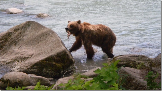 July 30 11 Cheryl (20)