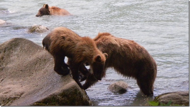 July 30 11 Cheryl (21)