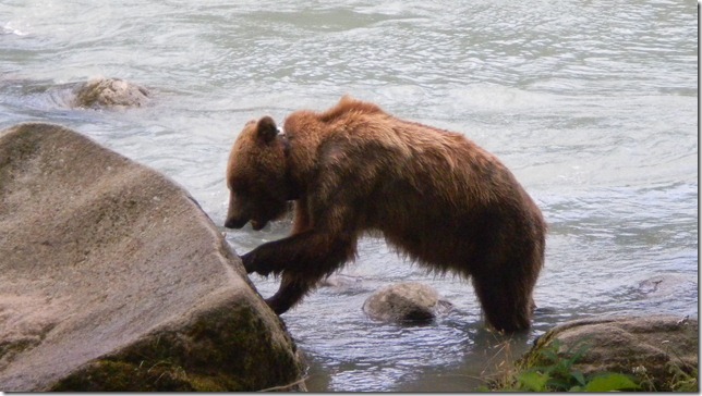 July 30 11 Cheryl (22)