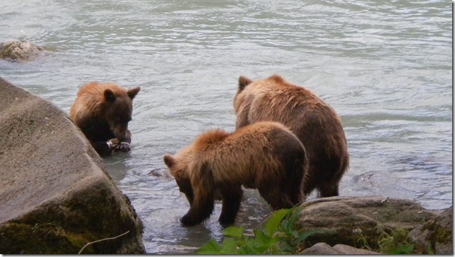 July 30 11 Cheryl (23)